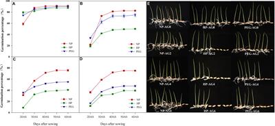 Priming methods affected deterioration speed of primed rice seeds by regulating reactive oxygen species accumulation, seed respiration and starch degradation